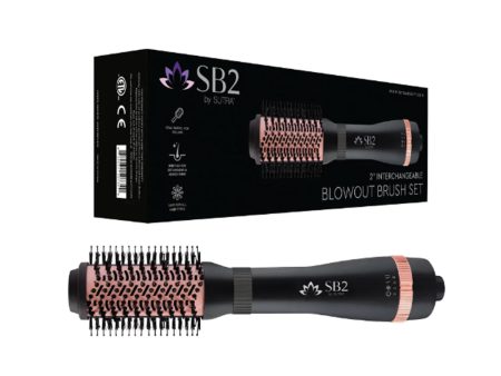 2  INTERCHANGEABLE BLOWOUT BRUSH SET For Sale