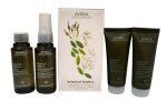 Aveda Botanical Kinetics Starter Kit For Cheap