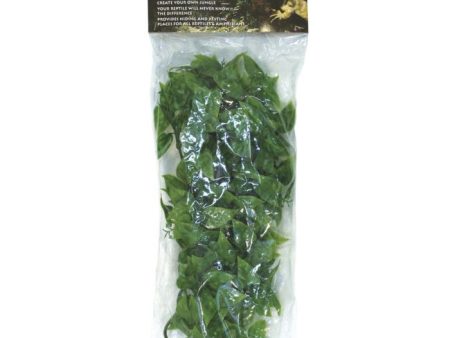 ZOO MED - Natural Bush Plant Mexican Phyllo Large - 22 Inch Cheap